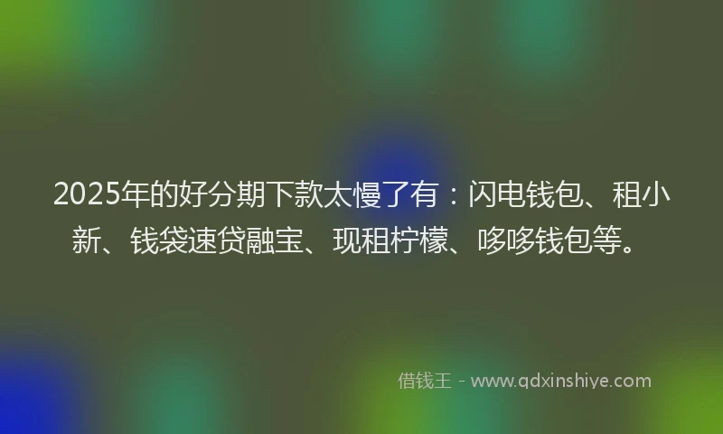 2025年的好分期下款太慢了有：闪电钱包、租小新、钱袋速贷融宝、现租柠檬、哆哆钱包等。