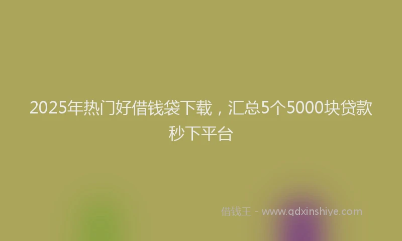 2025年热门好借钱袋下载，汇总5个5000块贷款秒下平台