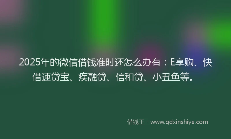 2025年的微信借钱准时还怎么办有：E享购、快借速贷宝、疾融贷、信和贷、小丑鱼等。