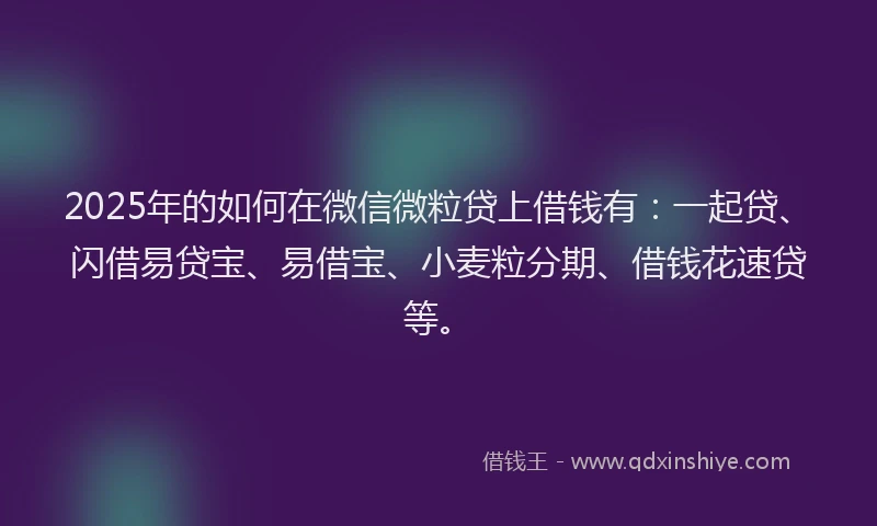 2025年的如何在微信微粒贷上借钱有：一起贷、闪借易贷宝、易借宝、小麦粒分期、借钱花速贷等。