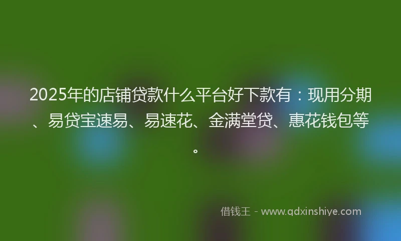 2025年的店铺贷款什么平台好下款有：现用分期、易贷宝速易、易速花、金满堂贷、惠花钱包等。