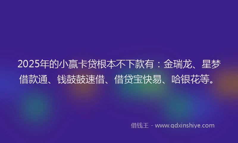 2025年的小赢卡贷根本不下款有：金瑞龙、星梦借款通、钱鼓鼓速借、借贷宝快易、哈银花等。