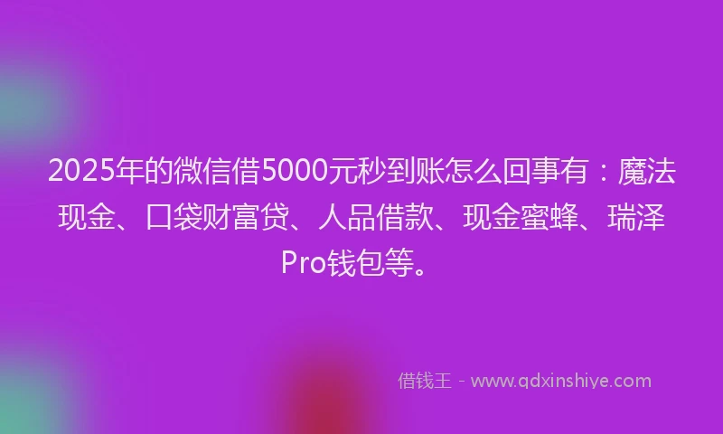 2025年的微信借5000元秒到账怎么回事有：魔法现金、口袋财富贷、人品借款、现金蜜蜂、瑞泽Pro钱包等。