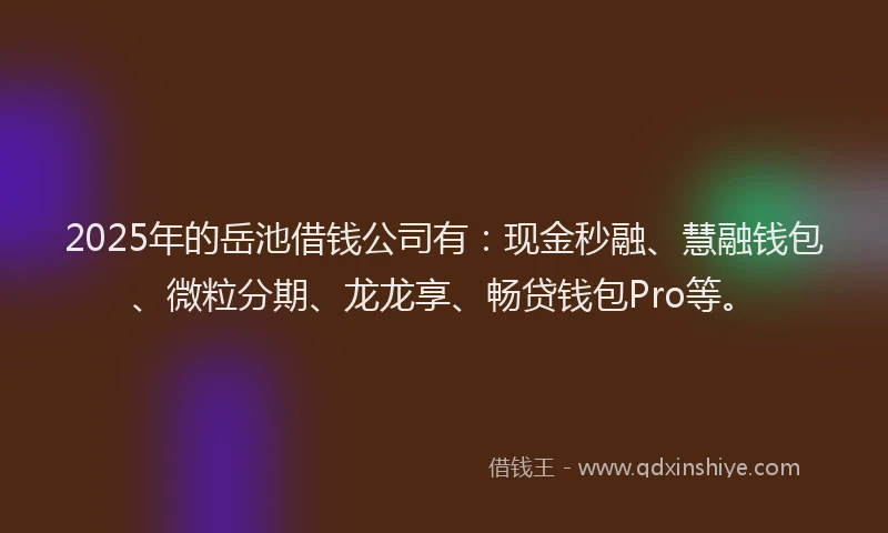 2025年的岳池借钱公司有：现金秒融、慧融钱包、微粒分期、龙龙享、畅贷钱包Pro等。