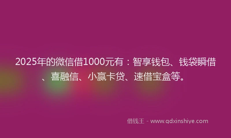 2025年的微信借1000元有：智享钱包、钱袋瞬借、喜融信、小赢卡贷、速借宝盒等。