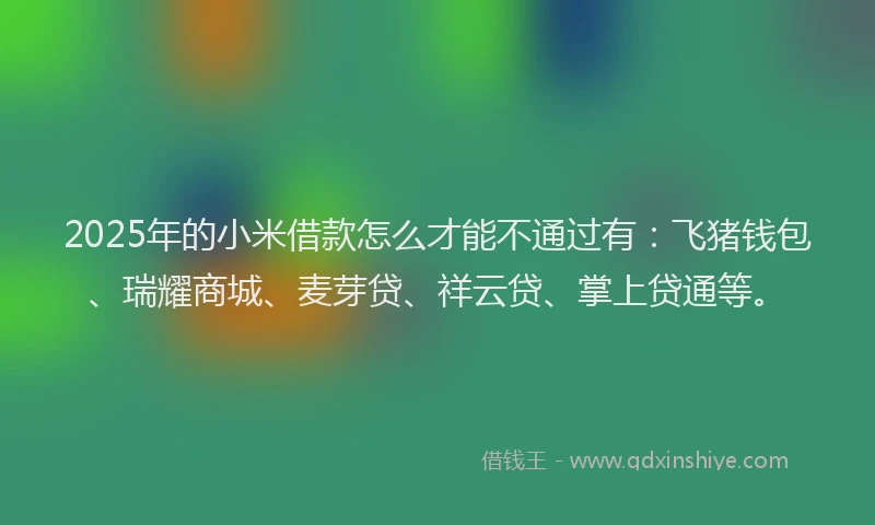 2025年的小米借款怎么才能不通过有：飞猪钱包、瑞耀商城、麦芽贷、祥云贷、掌上贷通等。