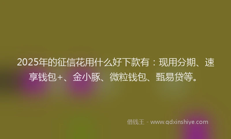 2025年的征信花用什么好下款有：现用分期、速享钱包+、金小豚、微粒钱包、甄易贷等。
