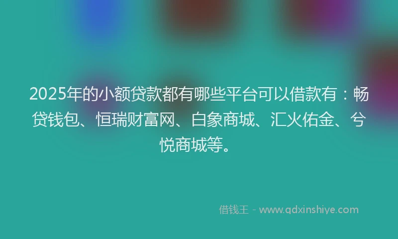 2025年的小额贷款都有哪些平台可以借款有：畅贷钱包、恒瑞财富网、白象商城、汇火佑金、兮悦商城等。
