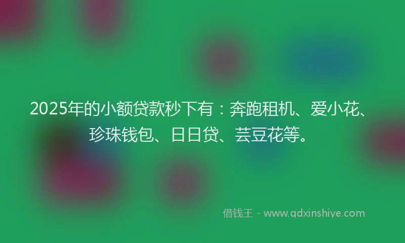 2025年的小额贷款秒下有：奔跑租机、爱小花、珍珠钱包、日日贷、芸豆花等。