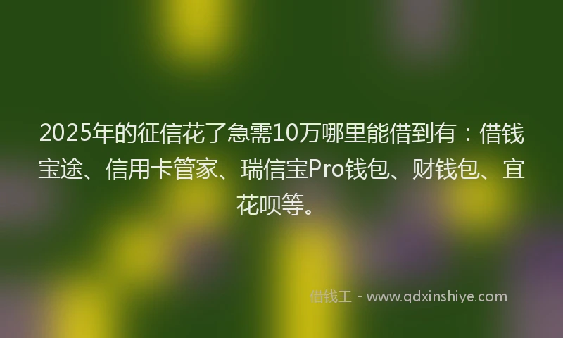 2025年的征信花了急需10万哪里能借到有：借钱宝途、信用卡管家、瑞信宝Pro钱包、财钱包、宜花呗等。