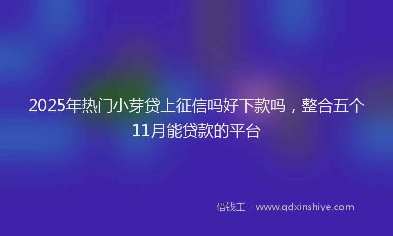 2025年热门小芽贷上征信吗好下款吗，整合五个11月能贷款的平台