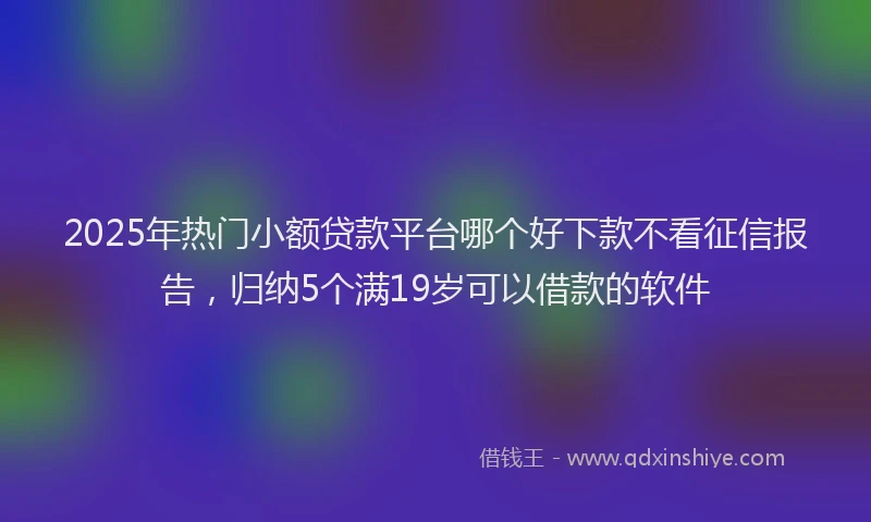 2025年热门小额贷款平台哪个好下款不看征信报告，归纳5个满19岁可以借款的软件