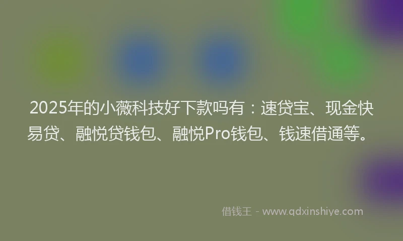 2025年的小薇科技好下款吗有：速贷宝、现金快易贷、融悦贷钱包、融悦Pro钱包、钱速借通等。