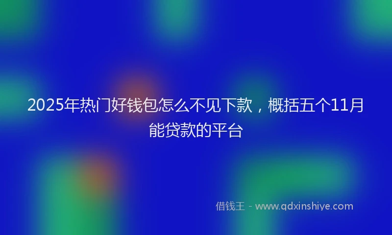 2025年热门好钱包怎么不见下款，概括五个11月能贷款的平台