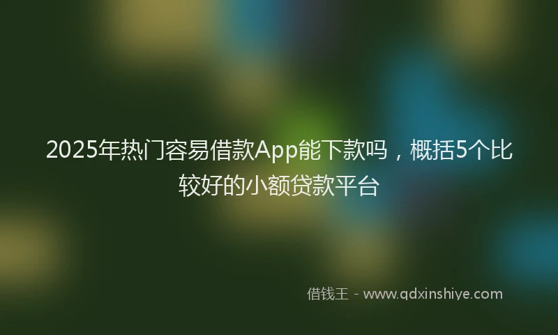 2025年热门容易借款App能下款吗，概括5个比较好的小额贷款平台