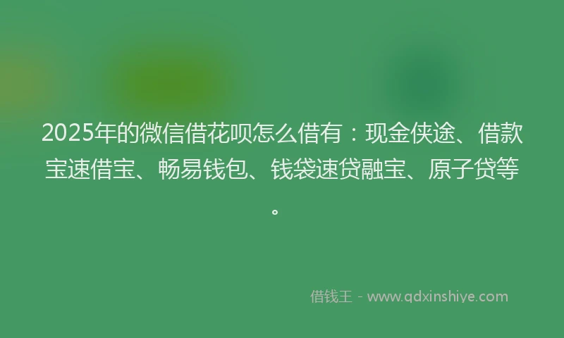 2025年的微信借花呗怎么借有：现金侠途、借款宝速借宝、畅易钱包、钱袋速贷融宝、原子贷等。