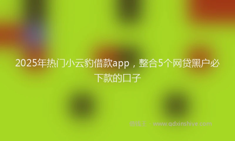 2025年热门小云豹借款app，整合5个网贷黑户必下款的口子