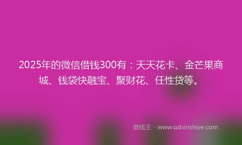 2025年的微信借钱300有：天天花卡、金芒果商城、钱袋快融宝、聚财花、任性贷等。