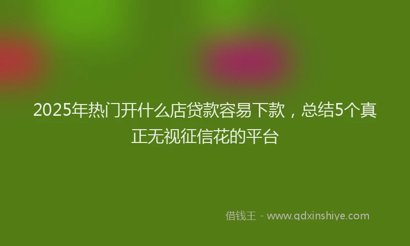 2025年热门开什么店贷款容易下款，总结5个真正无视征信花的平台