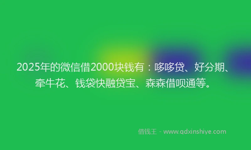 2025年的微信借2000块钱有：哆哆贷、好分期、牵牛花、钱袋快融贷宝、森森借呗通等。