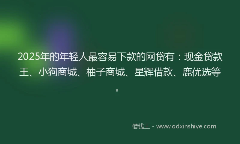 2025年的年轻人最容易下款的网贷有：现金贷款王、小狗商城、柚子商城、星辉借款、鹿优选等。