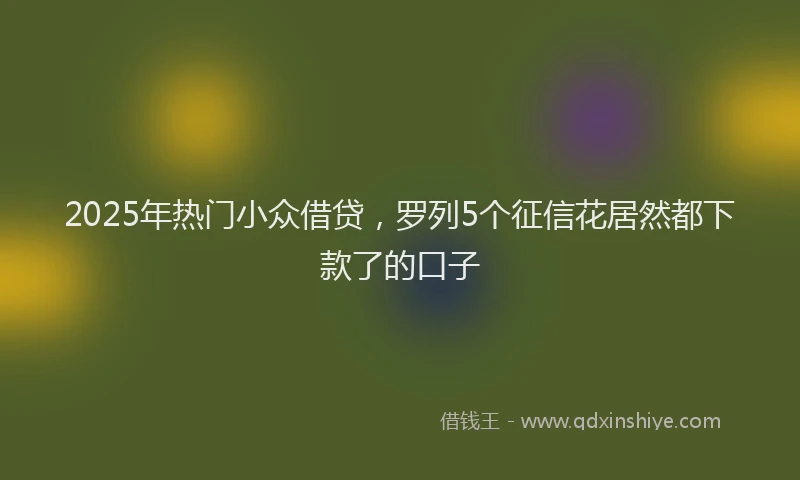 2025年热门小众借贷，罗列5个征信花居然都下款了的口子