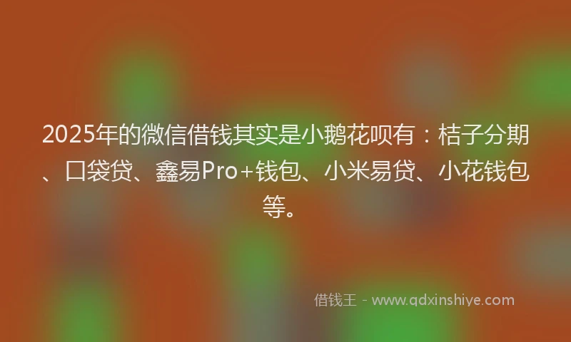 2025年的微信借钱其实是小鹅花呗有：桔子分期、口袋贷、鑫易Pro+钱包、小米易贷、小花钱包等。