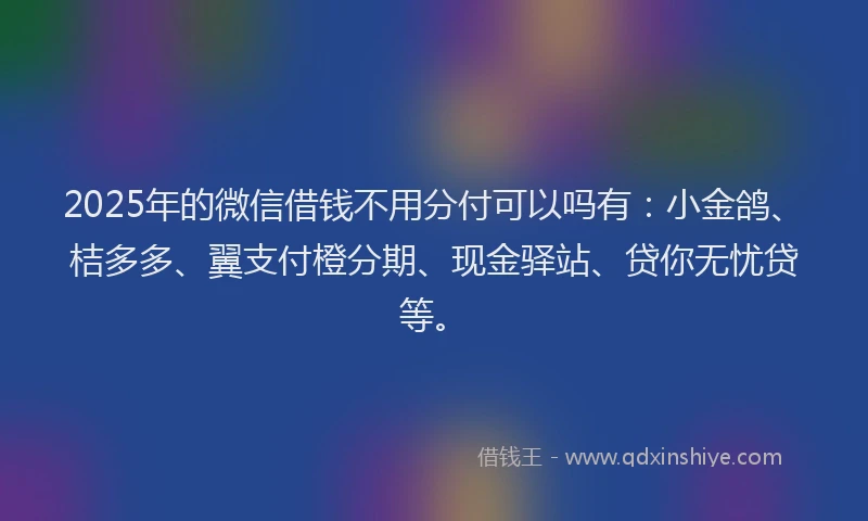 2025年的微信借钱不用分付可以吗有：小金鸽、桔多多、翼支付橙分期、现金驿站、贷你无忧贷等。