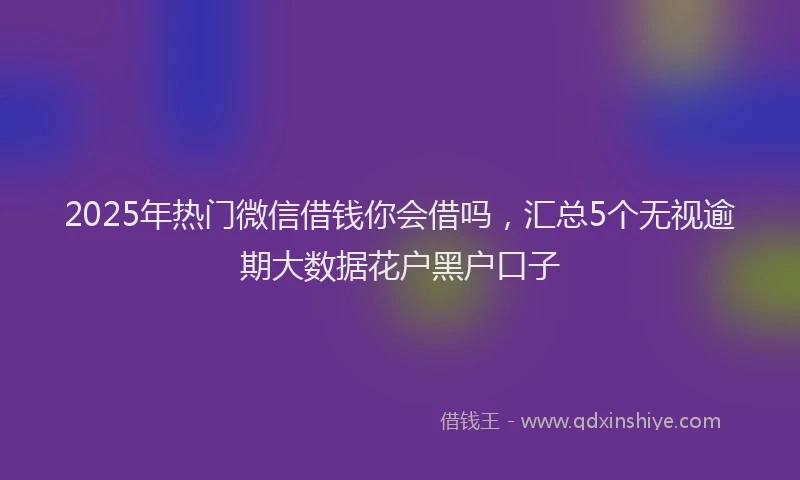 2025年热门微信借钱你会借吗，汇总5个无视逾期大数据花户黑户口子