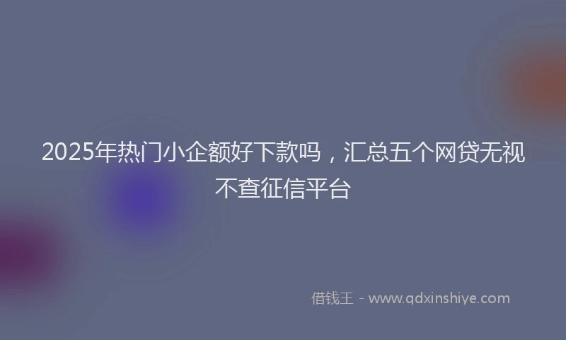 2025年热门小企额好下款吗，汇总五个网贷无视不查征信平台