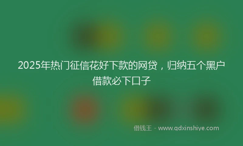 2025年热门征信花好下款的网贷，归纳五个黑户借款必下口子