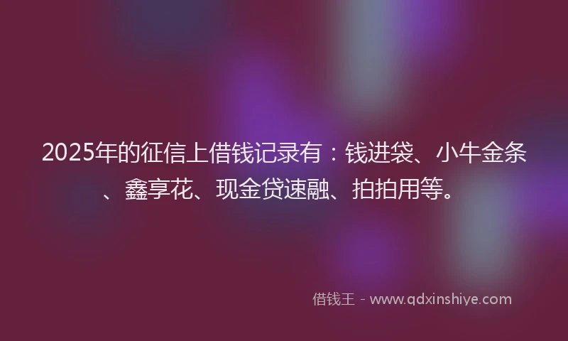 2025年的征信上借钱记录有：钱进袋、小牛金条、鑫享花、现金贷速融、拍拍用等。