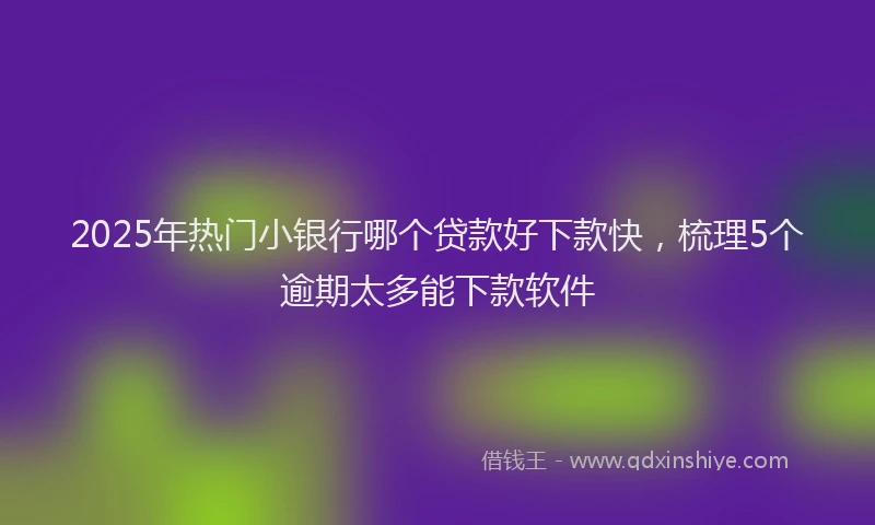 2025年热门小银行哪个贷款好下款快，梳理5个逾期太多能下款软件