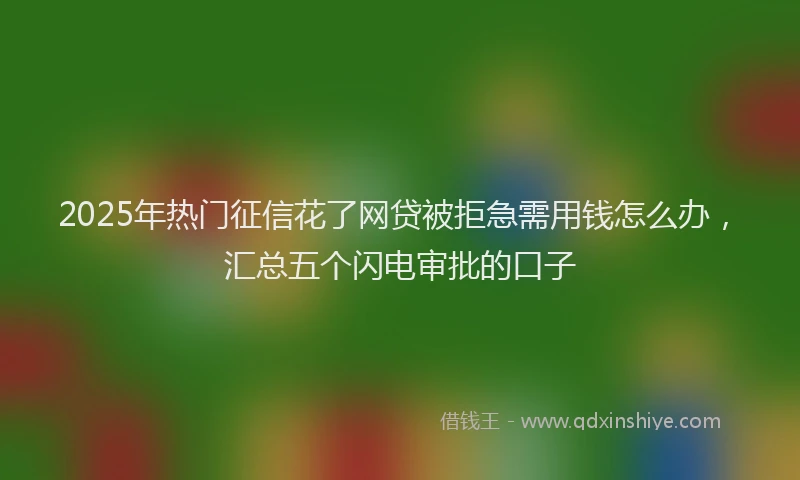 2025年热门征信花了网贷被拒急需用钱怎么办，汇总五个闪电审批的口子