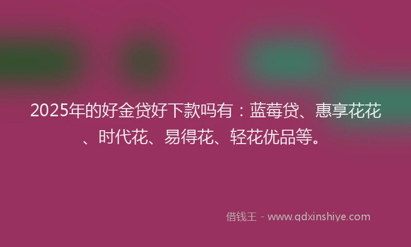 2025年的好金贷好下款吗有：蓝莓贷、惠享花花、时代花、易得花、轻花优品等。
