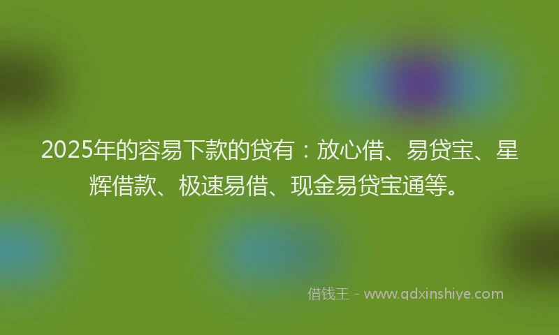 2025年的容易下款的贷有：放心借、易贷宝、星辉借款、极速易借、现金易贷宝通等。