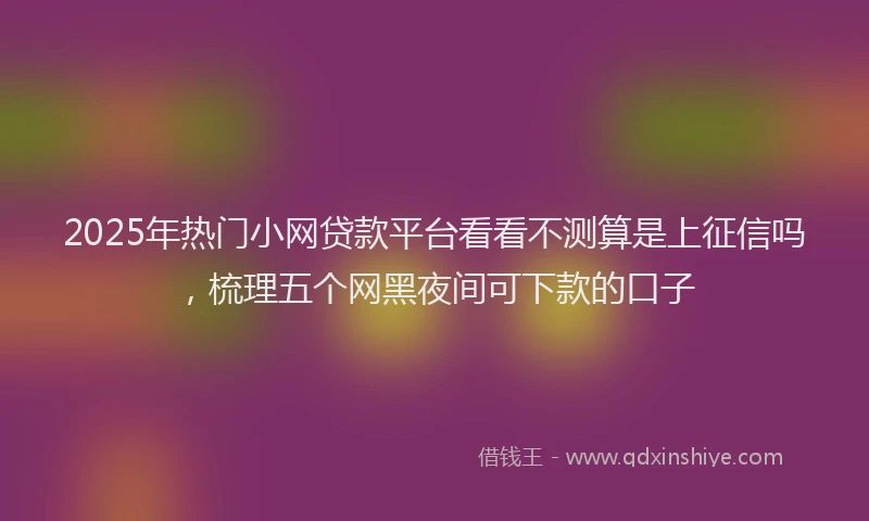 2025年热门小网贷款平台看看不测算是上征信吗，梳理五个网黑夜间可下款的口子