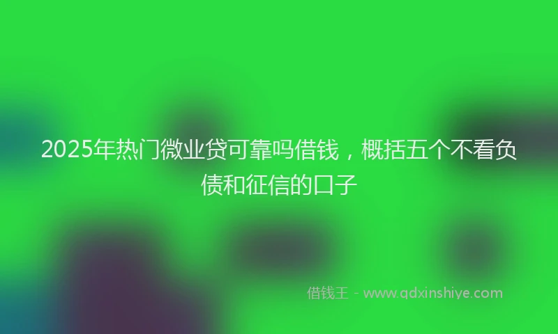 2025年热门微业贷可靠吗借钱，概括五个不看负债和征信的口子