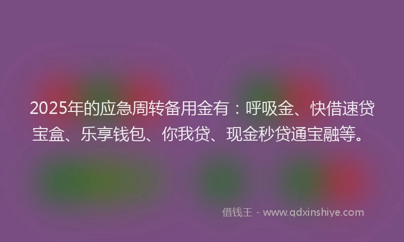 2025年的应急周转备用金有：呼吸金、快借速贷宝盒、乐享钱包、你我贷、现金秒贷通宝融等。