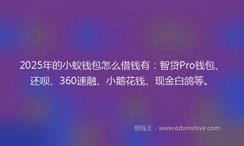 2025年的小蚁钱包怎么借钱有：智贷Pro钱包、还呗、360速融、小鹅花钱、现金白鸽等。