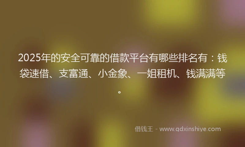 2025年的安全可靠的借款平台有哪些排名有：钱袋速借、支富通、小金象、一姐租机、钱满满等。