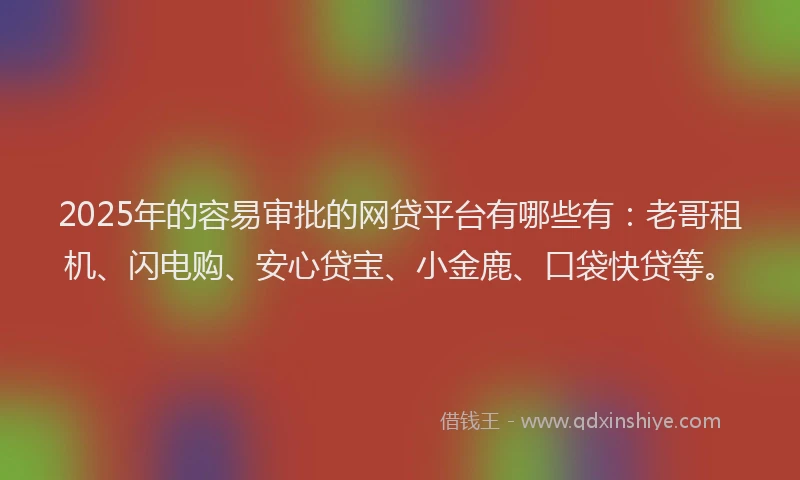 2025年的容易审批的网贷平台有哪些有：老哥租机、闪电购、安心贷宝、小金鹿、口袋快贷等。