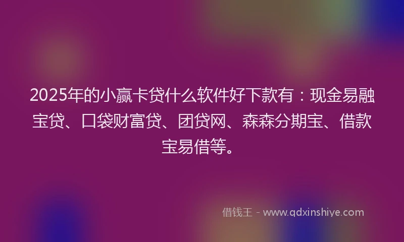 2025年的小赢卡贷什么软件好下款有：现金易融宝贷、口袋财富贷、团贷网、森森分期宝、借款宝易借等。