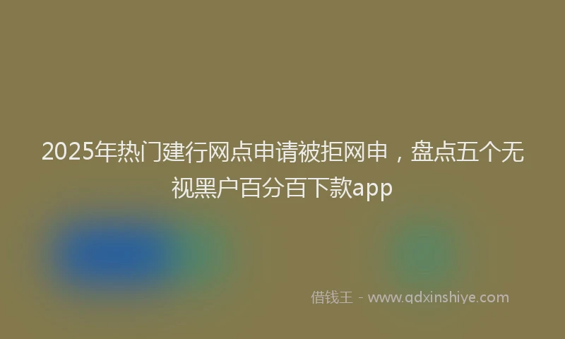 2025年热门建行网点申请被拒网申，盘点五个无视黑户百分百下款app
