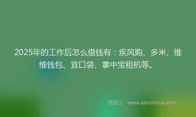 2025年的工作后怎么借钱有：疾风购、多米、维维钱包、宜口袋、掌中宝租机等。