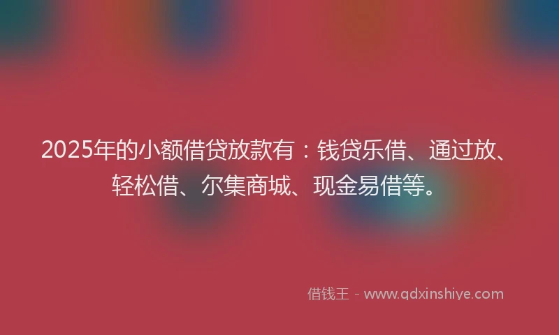 2025年的小额借贷放款有：钱贷乐借、通过放、轻松借、尔集商城、现金易借等。