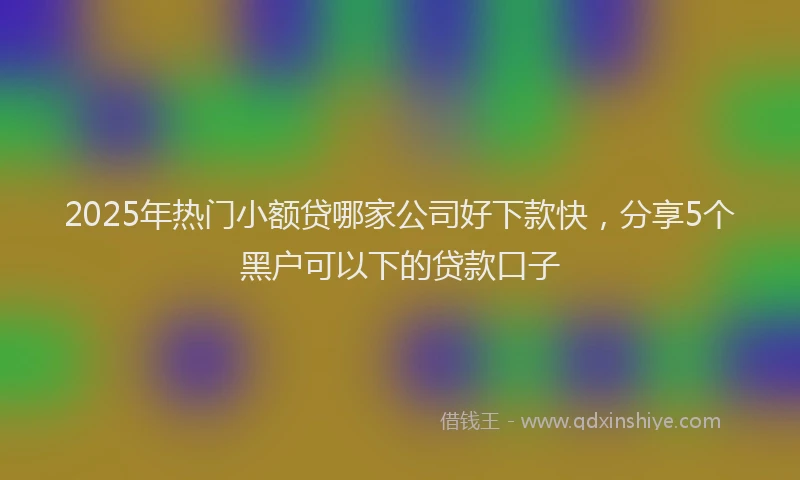 2025年热门小额贷哪家公司好下款快，分享5个黑户可以下的贷款口子