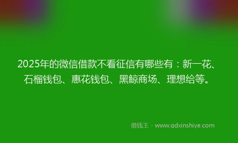2025年的微信借款不看征信有哪些有：新一花、石榴钱包、惠花钱包、黑鲸商场、理想给等。