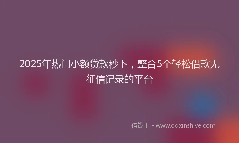 2025年热门小额贷款秒下，整合5个轻松借款无征信记录的平台