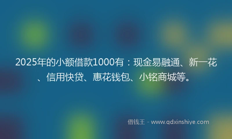 2025年的小额借款1000有：现金易融通、新一花、信用快贷、惠花钱包、小铭商城等。